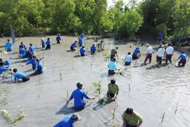 150 đoàn viên thanh niên tích cực tham gia trồng cây xanh để góp phần hướng đến mục tiêu "Vì một Việt Nam xanh". (Ảnh: Huỳnh Anh/TTXVN)
