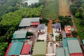 Một công trình vi phạm xây dựng trái phép trên đất rừng ở thành phố Chí Linh. (Ảnh: Báo Thanh Niên)