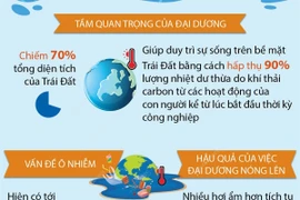 Ngày Đại dương thế giới 8/6: “Hiểu biết sâu sắc hơn về đại dương” 