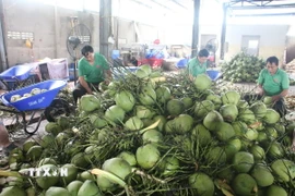 (Nguồn: TTXVN)