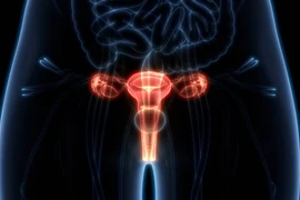 Buồng trứng đóng vai trò quan trọng đối với sức khỏe tổng thể của phụ nữ. (Ảnh: iStock)