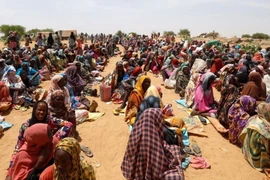 Người tị nạn Sudan sơ tán tránh xung đột tại các trại tạm ở Koufroun, CH Chad. (Ảnh: Reuters)