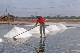 Diêm dân ở làng nghề làm muối Tân Thuận vào mùa thu hoạch muối và thời gian này kéo dài khoảng 3 tháng. (Ảnh: Huỳnh Anh/TTXVN)