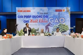 Quang cảnh Tọa đàm. (Ảnh: Xuân Anh/TTXVN)