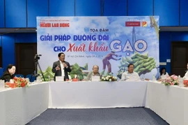 Quang cảnh Tọa đàm. (Ảnh: Xuân Anh/TTXVN)