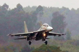 Máy bay Su-30MK2 của Không quân Việt Nam. (Ảnh: Trọng Đức/TTXVN)