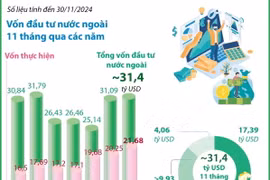 Tổng vốn FDI đăng ký vào Việt Nam đạt gần 31,4 tỷ USD trong 11 tháng