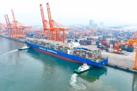 Cảng container Khâm Châu ở tỉnh Quảng Tây, Trung Quốc. (Ảnh: THX/TTXVN)