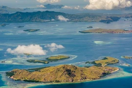 Ảnh minh họa. (Nguồn: Tempo)