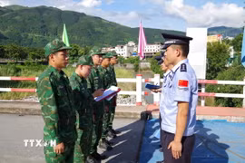 Ảnh minh họa. (Nguồn: TTXVN)