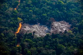 Khoảng rừng Amazon bị chặt phá tại Altamira, bang Para, Brazil. (Ảnh: AFP/TTXVN)