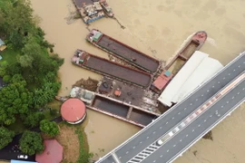 Một số tàu chở hàng và sà lan bị mắc kẹt dưới chân cầu Vĩnh Phú sáng 10/9/2024. (Ảnh: Tạ Toàn/TTXVN)