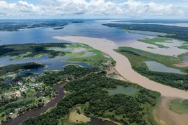 Brazil: Hạn hán khiến mực nước trên lưu vực sông Amazon xuống thấp kỷ lục