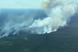 Khói bốc lên từ đám cháy rừng ở tỉnh Alberta, Canada ngày 2/7/2024. (Ảnh: THX/TTXVN)
