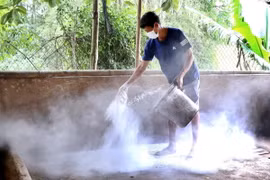Rắc vôi bột khử trùng chuồng trại chăn nuôi lợn. (Ảnh: Trung Kiên/TTXVN)