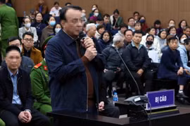 Bị cáo Đỗ Anh Dũng (Chủ tịch Hội đồng quản trị, kiêm Tổng Giám đốc Công ty Tân Hoàng Minh) trả lời các câu hỏi của Hội đồng xét xử và Luật sư bào chữa cho các bị cáo. (Ảnh: Phạm Kiên/TTXVN)