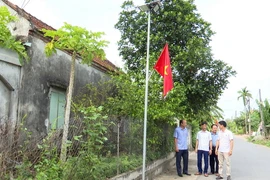 Tuyến đường tại xã Hà Giang, huyện Đông Hưng được lắp đặt hệ thống chiếu sáng, tạo điều kiện để người dân yên tâm lao động, sản xuất, phát triển kinh tế-xã hội. (Ảnh: Thanh Bình/Vietnam+)