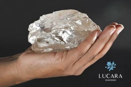 Viên kim cương khổng lồ nặng 2.492 carat được tìm thấy tại Botswana. (Nguồn: Lucara Diamon)