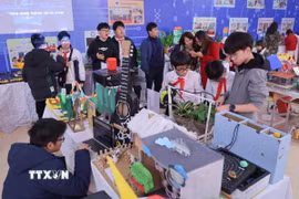 Giáo dục STEM. (Nguồn: TTXVN)