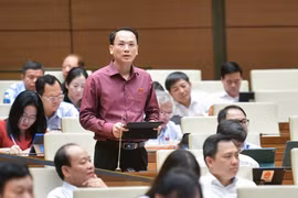 Đại biểu Quốc hội Lưu Bá Mạc phát biểu tại Quốc hội sáng 29/5.