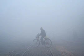 Sương mù dày đặc tại Amritsar, Ấn Độ. (Ảnh: AFP/TTXVN)