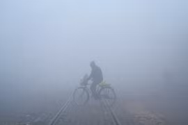 Sương mù dày đặc tại Amritsar, Ấn Độ. (Ảnh: AFP/TTXVN)