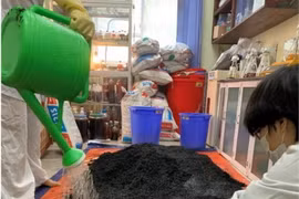 Các nhà khoa học thực hiện sản xuất chế phẩm trong phòng thí nghiệm. (Ảnh: Viện Hàn lâm Khoa học và Công nghệ Việt Nam)