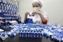 (Ảnh minh họa: Vũ Sinh/TTXVN)