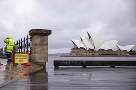 Mưa lớn tại Sydney, Australia, ngày 1/3. (Ảnh: THX/TTXVN)