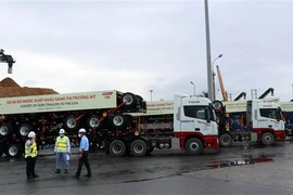 (Ảnh minh họa: Trần Tĩnh/TTXVN)