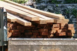 (Ảnh minh họa: Hữu Quyết/TTXVN)