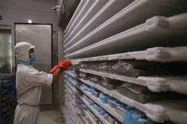 Hệ thống cấp đông thủy sản. (Ảnh: Phạm Hậu/TTXVN)