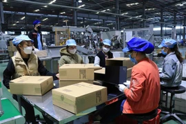 Công nhân lao động làm việc tại Công ty TNHH Deli Việt Nam, Khu công nghiệp Yên Phong, tỉnh Bắc Ninh. (Ảnh: Thanh Thương/TTXVN)