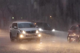 (Ảnh minh họa: Dương Giang/TTXVN)