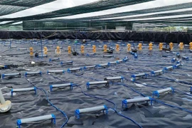 Hệ thống sục oxy phục vụ nuôi tôm ứng dụng công nghệ cao trong nhà màng tại huyện Cần Giờ. (Ảnh: Xuân Anh/TTXVN)