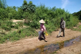 (Ảnh minh họa: Tường Quân/TTXVN.)