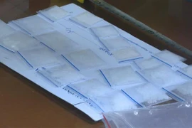 (Ảnh minh họa: Trịnh Duy Hưng/TTXVN)