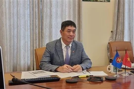 Đại sứ - Trưởng Phái đoàn đại diện thường trực Việt Nam tại ASEAN Nguyễn Hải Bằng. (Ảnh: Phái đoàn Việt Nam tại ASEAN)