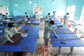 Đan chiếu tre – một hoạt động lao động trị liệu của các học viên tại Cơ sở cai nghiện ma túy tỉnh Lạng Sơn. (Ảnh: Anh Tuấn/TTXVN)