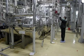 Kỹ thuật viên Iran làm việc tại nhà máy làm giàu urani ở Isfahan. (Nguồn: AFP/TTXVN)