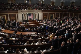 Toàn cảnh một phiên họp tại Hạ viện Mỹ ở Washington D.C. (Nguồn: THX/TTXVN)