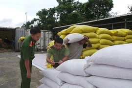 Lào Cai điều tra 440 tấn hạt dẻ không rõ nguồn gốc
