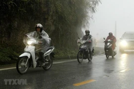 Từ ngày 27-29/5, Bắc Bộ và Bắc Trung Bộ có mưa, mưa vừa, riêng vùng núi Bắc Bộ mưa to. (Nguồn: TTXVN)