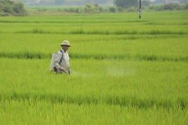Phun thuốc phòng chống sâu bệnh cho lúa. Ảnh minh họa. (Ảnh: Văn Dũng/TTXVN)