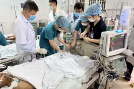 Quảng Nam: Khẩn trương giải độc cho bệnh nhân ăn cá chép muối ủ chua