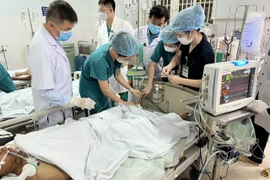 Quảng Nam: Khẩn trương giải độc cho bệnh nhân ăn cá chép muối ủ chua