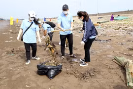 Giảm thiểu rác thải nhựa để phát triển du lịch Việt Nam bền vững