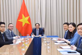 Tăng cường hợp tác nhiều mặt giữa Việt Nam và Mozambique