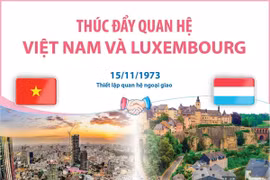 [Infographics] Thúc đẩy quan hệ giữa Việt Nam và Luxembourg