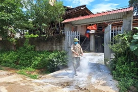 Lợn chết không báo cáo, Bắc Kạn bùng phát dịch tả lợn châu Phi